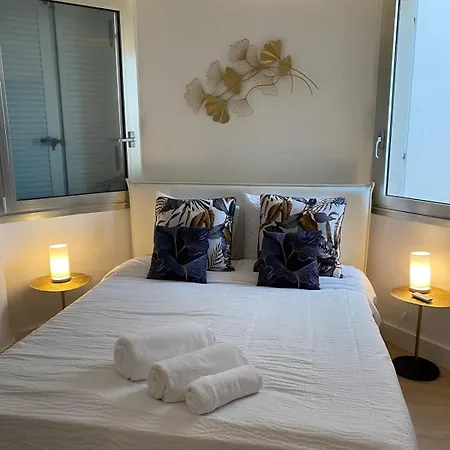 Croisette Martinez Terrace & Sea View * Cannes
